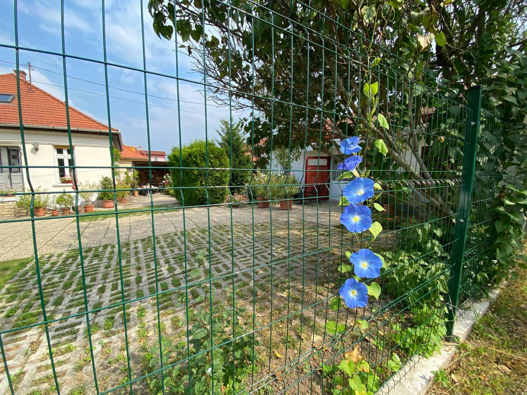 Mandula Haz Hotel Veszprém Exterior photo
